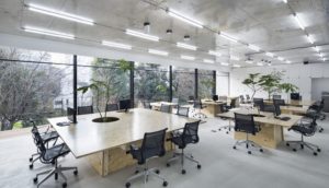 Thiết kế văn phòng hiện đại với không gian mở